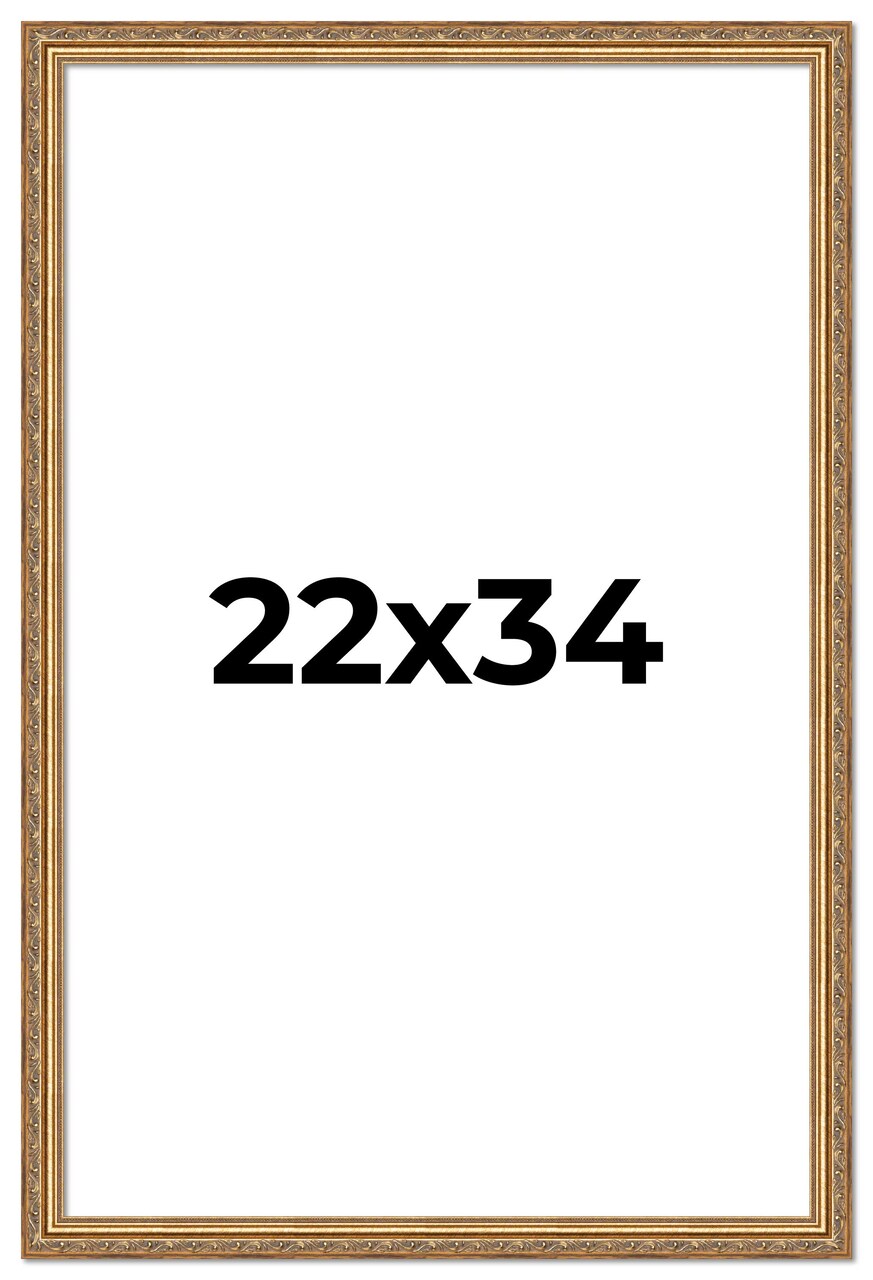 22x34 Museum-Quality Picture Frame with UV-Resistant Acrylic & Acid-Free Backing, Available in 4 Finishes - Gold, Silver, Bronze, and Black